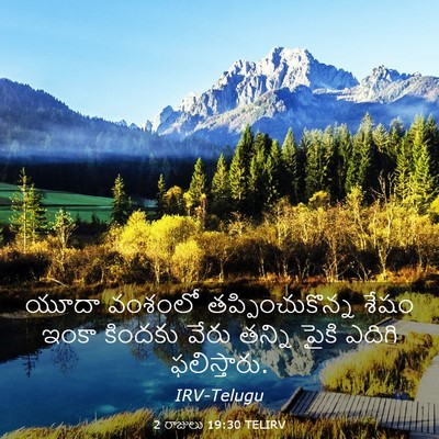 Picture 03 - 2 రాజులు 19:30 TELIRV - యూదా వంశంలో - Bible Verse Picture