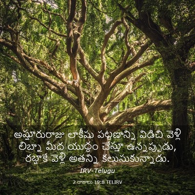 Picture 03 - 2 రాజులు 19:8 TELIRV - అష్షూరురాజు - Bible Verse Picture