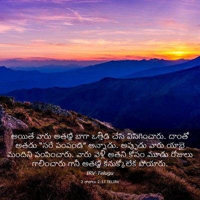 Picture 03 - 2 రాజులు 2:17 TELIRV - అయితే వారు అతణ్ణి - Bible Verse Picture