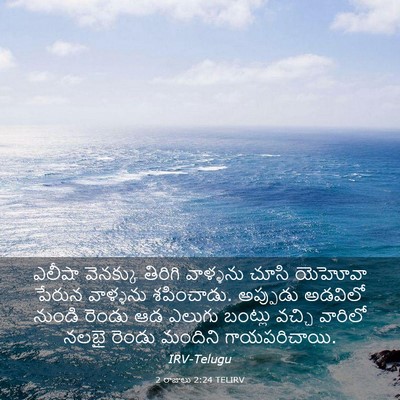 Picture 03 - 2 రాజులు 2:24 TELIRV - ఎలీషా వెనక్కు - Bible Verse Picture