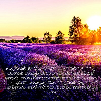 Picture 03 - 2 రాజులు 2:6 TELIRV - అప్పుడు ఏలీయా - Bible Verse Picture
