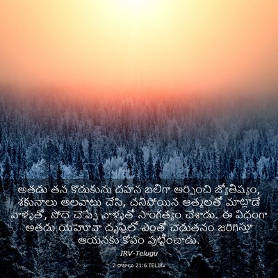 Picture 03 - 2 రాజులు 21:6 TELIRV - అతడు తన కొడుకును - Bible Verse Picture