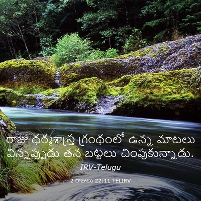 Picture 03 - 2 రాజులు 22:11 TELIRV - రాజు ధర్మశాస్త్ర - Bible Verse Picture