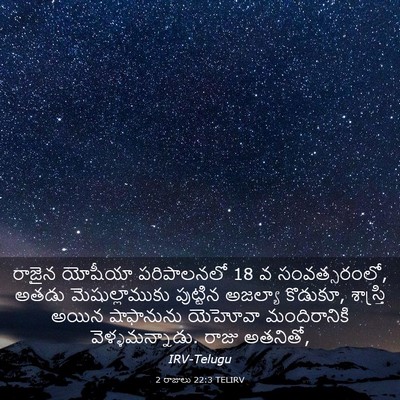 Picture 03 - 2 రాజులు 22:3 TELIRV - రాజైన యోషీయా - Bible Verse Picture