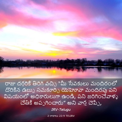 Picture 03 - 2 రాజులు 22:9 TELIRV - రాజు దగ్గరికి - Bible Verse Picture