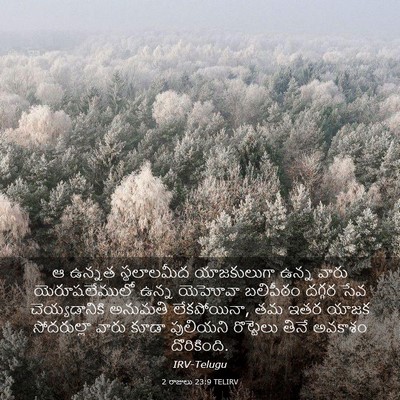 Picture 03 - 2 రాజులు 23:9 TELIRV - ఆ ఉన్నత స్థలాలమీద - Bible Verse Picture