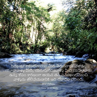 Picture 03 - 2 రాజులు 24:20 TELIRV - సిద్కియా - Bible Verse Picture