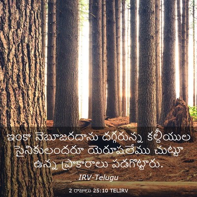 Picture 03 - 2 రాజులు 25:10 TELIRV - ఇంకా నెబూజరదాను - Bible Verse Picture