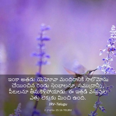 Picture 03 - 2 రాజులు 25:16 TELIRV - ఇంకా అతడు యెహోవా - Bible Verse Picture