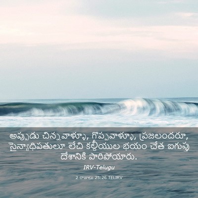 Picture 03 - 2 రాజులు 25:26 TELIRV - అప్పుడు - Bible Verse Picture
