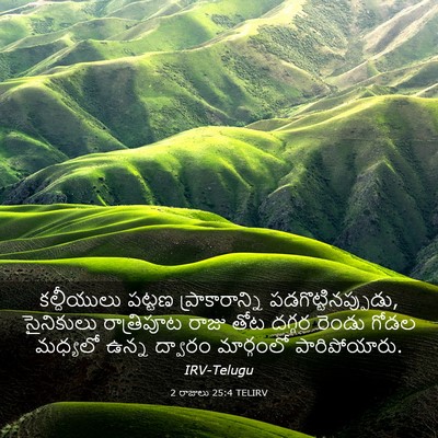 Picture 03 - 2 రాజులు 25:4 TELIRV - కల్దీయులు పట్టణ - Bible Verse Picture