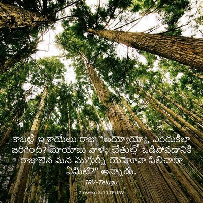 Picture 03 - 2 రాజులు 3:10 TELIRV - కాబట్టి ఇశ్రాయేలు - Bible Verse Picture