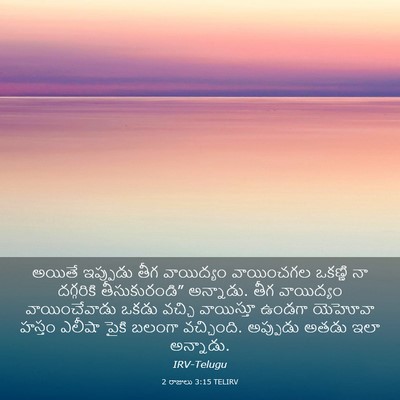 Picture 03 - 2 రాజులు 3:15 TELIRV - అయితే ఇప్పుడు తీగ - Bible Verse Picture