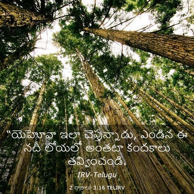 Picture 03 - 2 రాజులు 3:16 TELIRV - “యెహోవా ఇలా - Bible Verse Picture