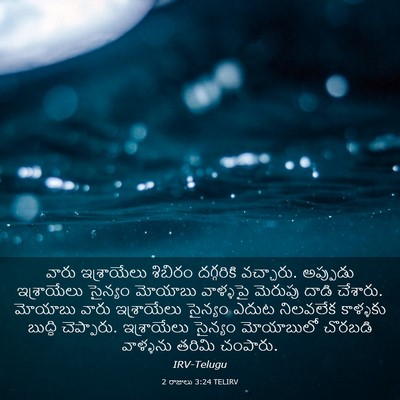 Picture 03 - 2 రాజులు 3:24 TELIRV - వారు ఇశ్రాయేలు - Bible Verse Picture