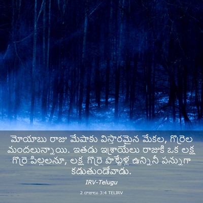Picture 03 - 2 రాజులు 3:4 TELIRV - మోయాబు రాజు - Bible Verse Picture