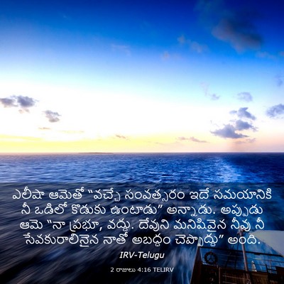 Picture 03 - 2 రాజులు 4:16 TELIRV - ఎలీషా ఆమెతో - Bible Verse Picture