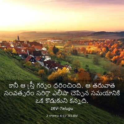 Picture 03 - 2 రాజులు 4:17 TELIRV - కానీ ఆ స్త్రీ - Bible Verse Picture