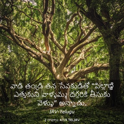 Picture 03 - 2 రాజులు 4:19 TELIRV - వాడి తండ్రి తన - Bible Verse Picture
