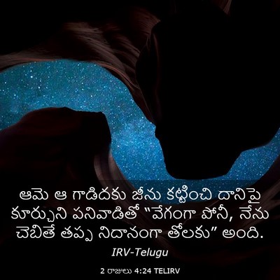 Picture 03 - 2 రాజులు 4:24 TELIRV - ఆమె ఆ గాడిదకు జీను - Bible Verse Picture