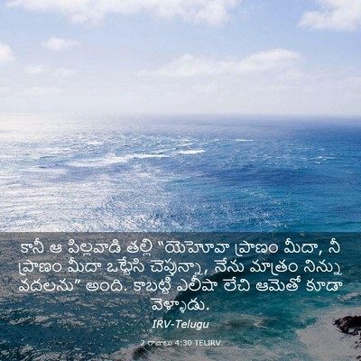Picture 03 - 2 రాజులు 4:30 TELIRV - కానీ ఆ పిల్లవాడి - Bible Verse Picture