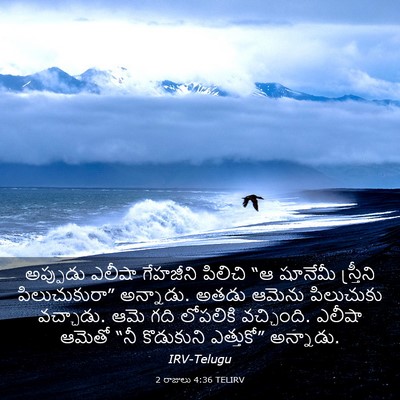 Picture 03 - 2 రాజులు 4:36 TELIRV - అప్పుడు ఎలీషా - Bible Verse Picture