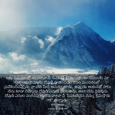 Picture 03 - 2 రాజులు 5:18 TELIRV - ఒక్క విషయంలో - Bible Verse Picture