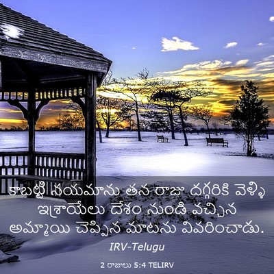 Picture 03 - 2 రాజులు 5:4 TELIRV - కాబట్టి నయమాను తన - Bible Verse Picture