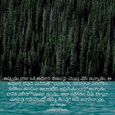 Picture 03 - 2 రాజులు 7:2 TELIRV - అప్పుడు రాజు ఒక - Bible Verse Picture