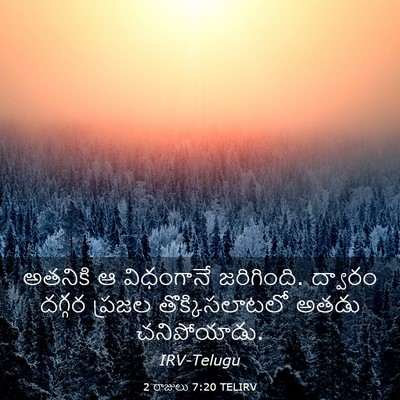 Picture 03 - 2 రాజులు 7:20 TELIRV - అతనికి ఆ విధంగానే - Bible Verse Picture