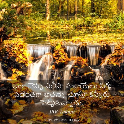 Picture 03 - 2 రాజులు 8:11 TELIRV - ఇలా చెప్పి ఎలీషా - Bible Verse Picture