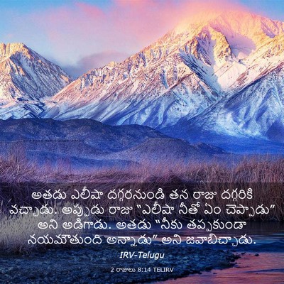 Picture 03 - 2 రాజులు 8:14 TELIRV - అతడు ఎలీషా - Bible Verse Picture