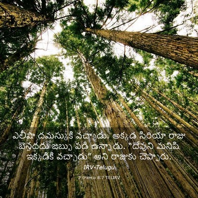 Picture 03 - 2 రాజులు 8:7 TELIRV - ఎలీషా దమస్కుకి - Bible Verse Picture