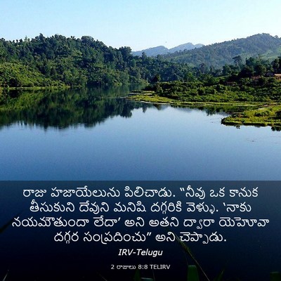Picture 03 - 2 రాజులు 8:8 TELIRV - రాజు హజాయేలును - Bible Verse Picture