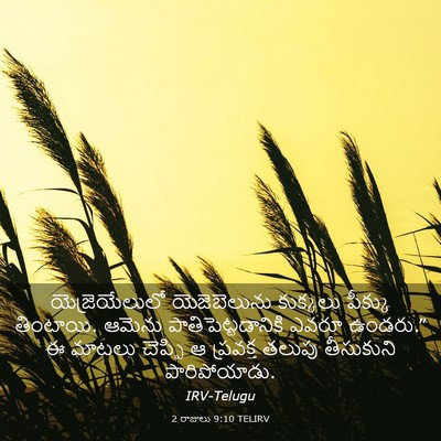 Picture 03 - 2 రాజులు 9:10 TELIRV - యెజ్రెయేలులో - Bible Verse Picture