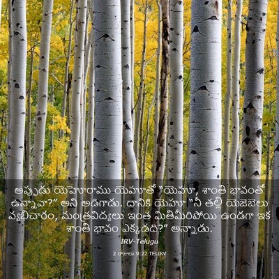 Picture 03 - 2 రాజులు 9:22 TELIRV - అప్పుడు యెహోరాము - Bible Verse Picture