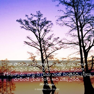 Picture 03 - 2 సమూయేలు 1:26 TELIRV - నా సోదరుడా, - Bible Verse Picture