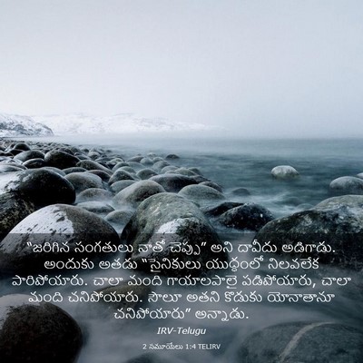 Picture 03 - 2 సమూయేలు 1:4 TELIRV - “జరిగిన సంగతులు - Bible Verse Picture