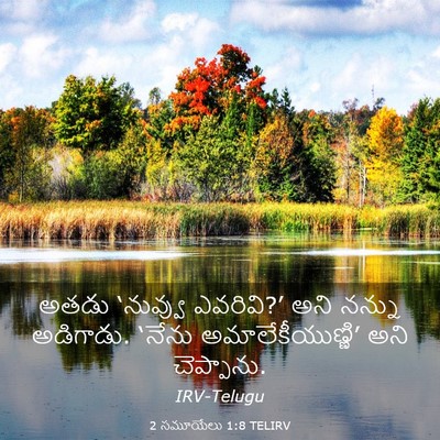 Picture 03 - 2 సమూయేలు 1:8 TELIRV - అతడు ‘నువ్వు - Bible Verse Picture