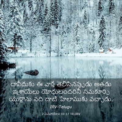Picture 03 - 2 సమూయేలు 10:17 TELIRV - దావీదుకు ఈ వార్త - Bible Verse Picture