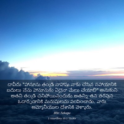 Picture 03 - 2 సమూయేలు 10:2 TELIRV - దావీదు “హానూను - Bible Verse Picture
