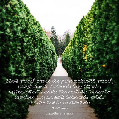 Picture 03 - 2 సమూయేలు 11:1 TELIRV - వసంత కాలంలో - Bible Verse Picture