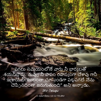 Picture 03 - 2 సమూయేలు 12:12 TELIRV - పగలు సమయంలోనే - Bible Verse Picture