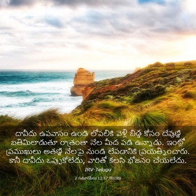 Picture 03 - 2 సమూయేలు 12:17 TELIRV - దావీదు ఉపవాసం - Bible Verse Picture