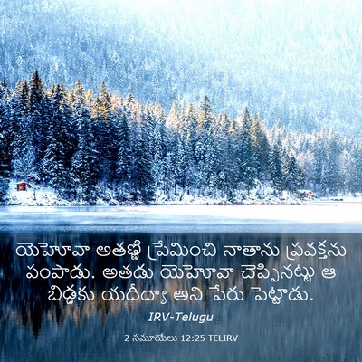Picture 03 - 2 సమూయేలు 12:25 TELIRV - యెహోవా అతణ్ణి - Bible Verse Picture