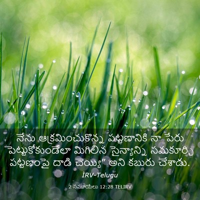 Picture 03 - 2 సమూయేలు 12:28 TELIRV - నేను - Bible Verse Picture