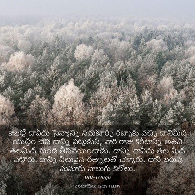 Picture 03 - 2 సమూయేలు 12:29 TELIRV - కాబట్టి దావీదు - Bible Verse Picture