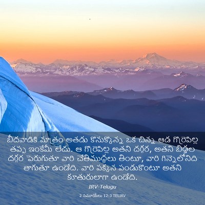 Picture 03 - 2 సమూయేలు 12:3 TELIRV - బీదవాడికి మాత్రం - Bible Verse Picture