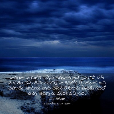 Picture 03 - 2 సమూయేలు 13:10 TELIRV - వారంతా బయటికి - Bible Verse Picture