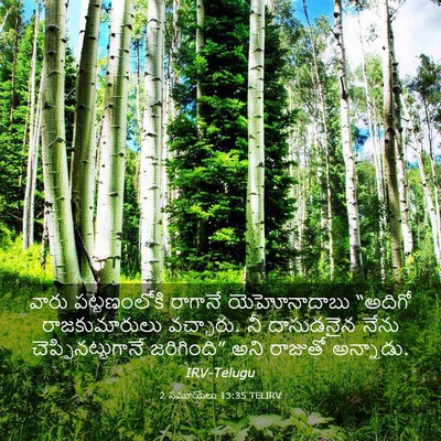 Picture 03 - 2 సమూయేలు 13:35 TELIRV - వారు పట్టణంలోకి - Bible Verse Picture